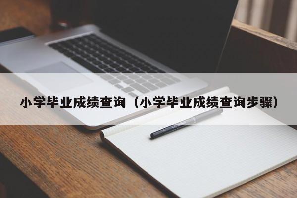 小学毕业成绩查询(小学毕业成绩查询步骤)