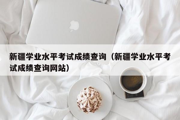 新疆学业水平考试成绩查询(新疆学业水平考试成绩查询网站)