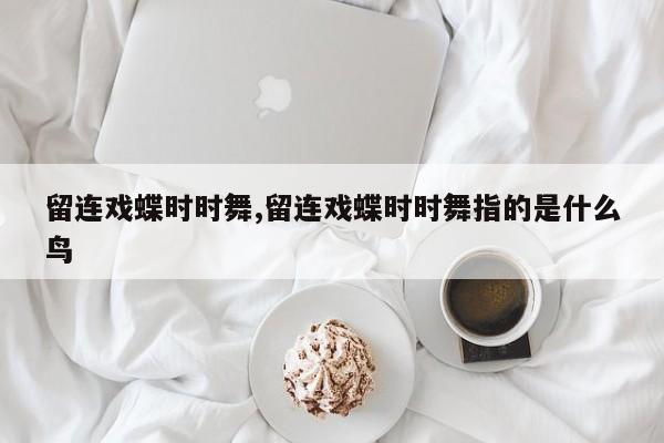 留连戏蝶时时舞,留连戏蝶时时舞指的是什么鸟