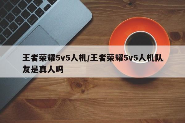 王者荣耀5v5人机/王者荣耀5v5人机队友是真人吗
