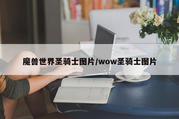 魔兽世界圣骑士图片/wow圣骑士图片