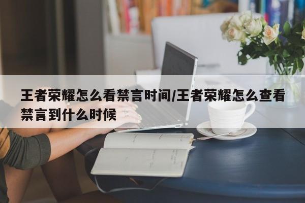 王者荣耀怎么看禁言时间/王者荣耀怎么查看禁言到什么时候
