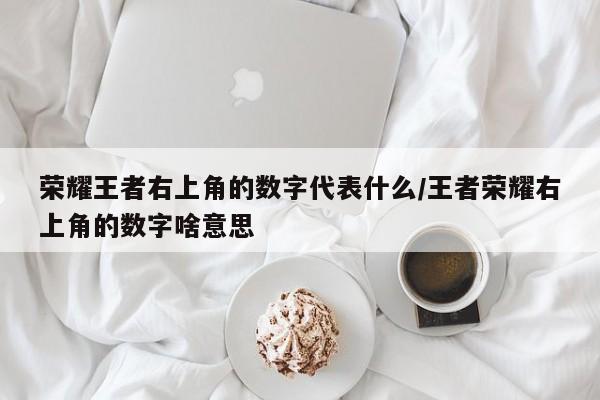 荣耀王者右上角的数字代表什么/王者荣耀右上角的数字啥意思