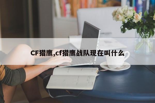 CF猎鹰,cf猎鹰战队现在叫什么
