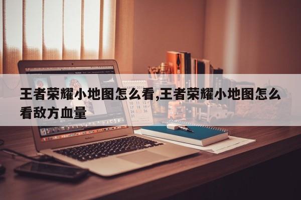 王者荣耀小地图怎么看,王者荣耀小地图怎么看敌方血量