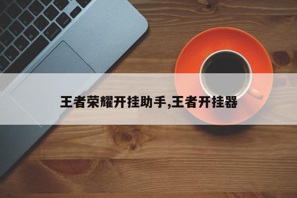 王者荣耀开挂助手,王者开挂器