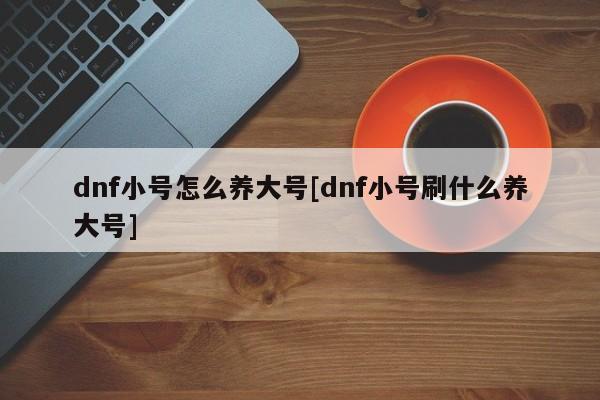 dnf小号怎么养大号[dnf小号刷什么养大号]